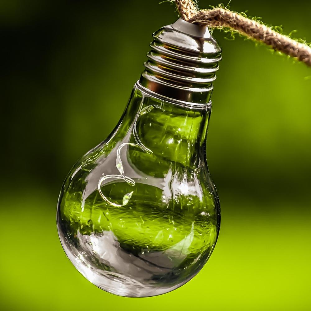 Environmental Impact Assessment