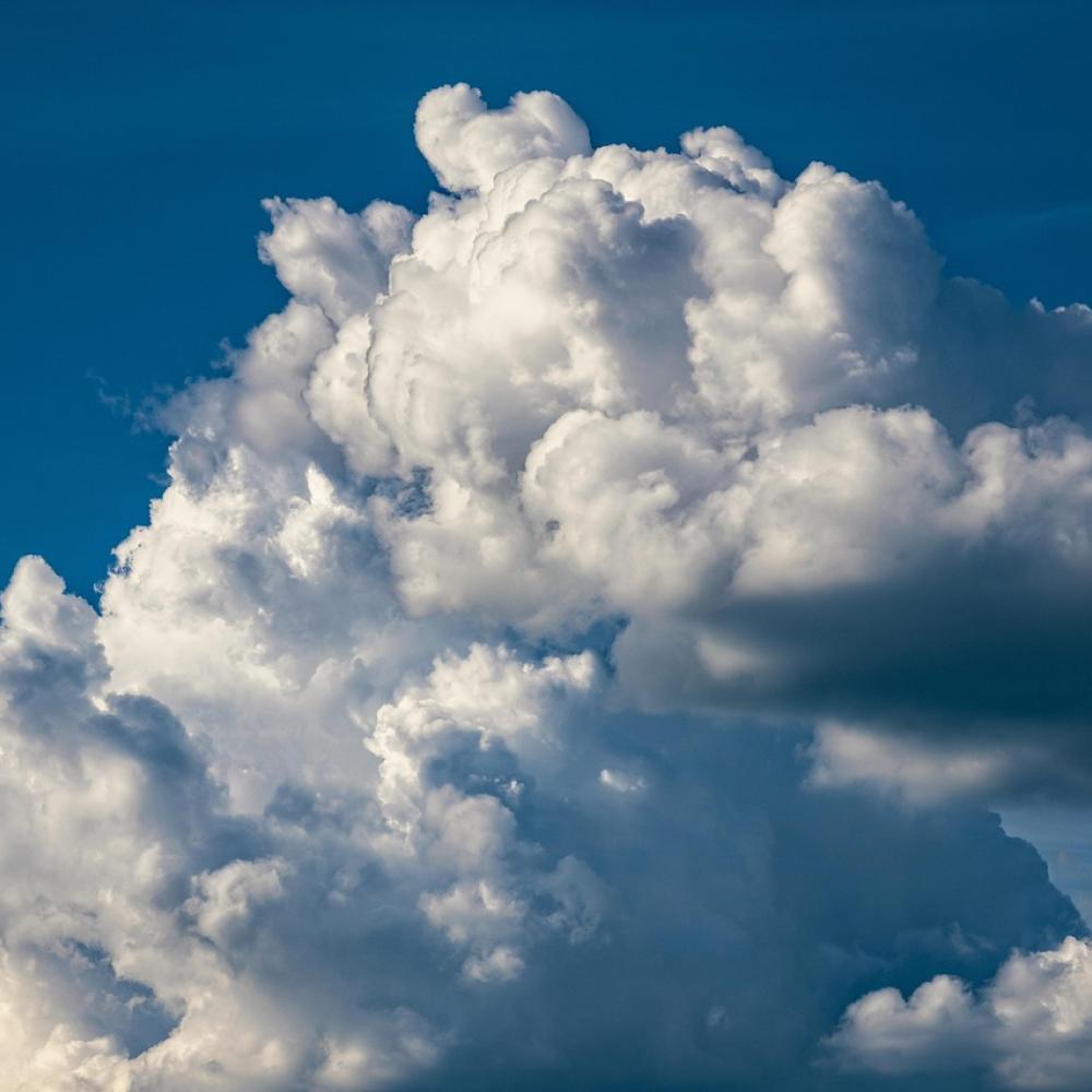 Climate Tech Solutions